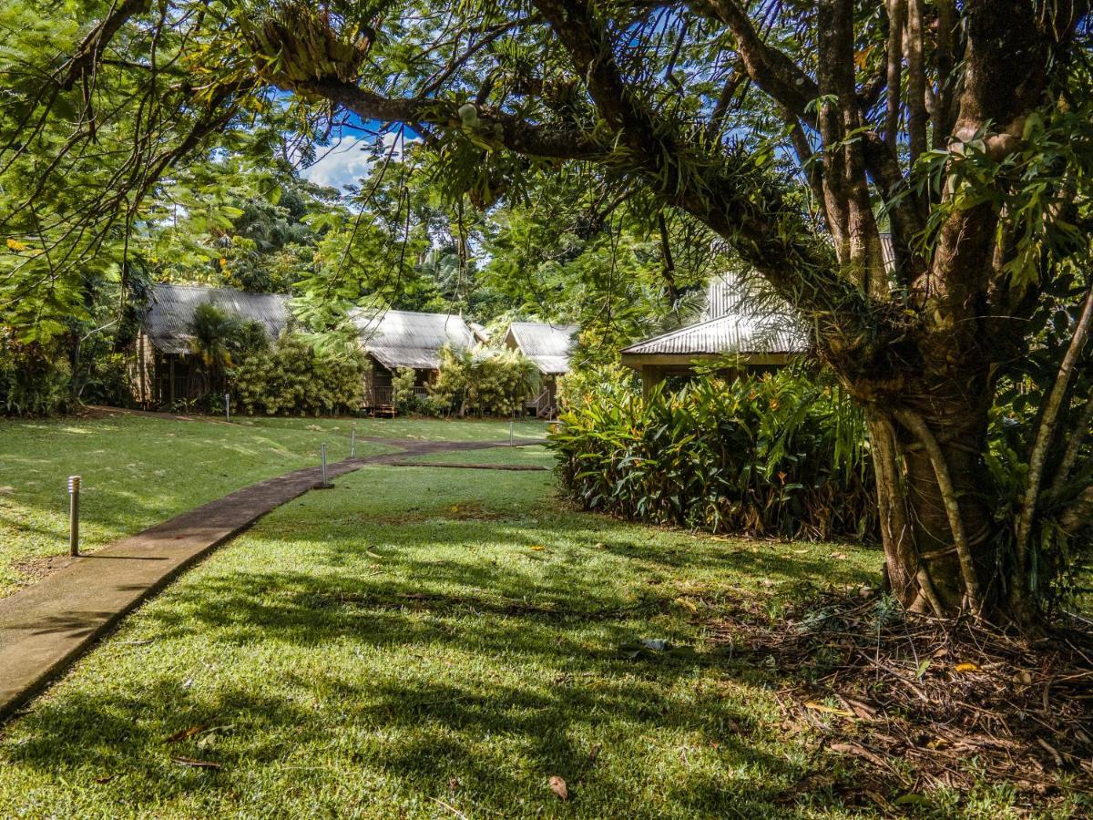 Ferntree Rainforest Lodge Cape Tribulation Exterior foto