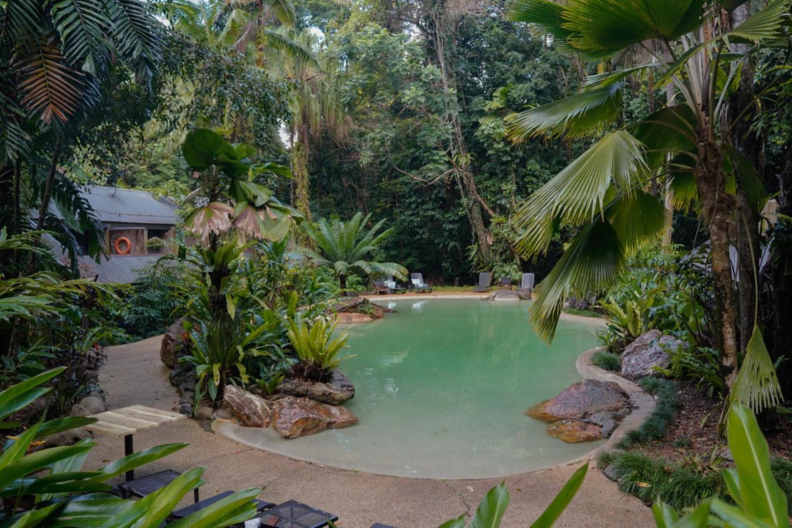 Ferntree Rainforest Lodge Cape Tribulation Exterior foto