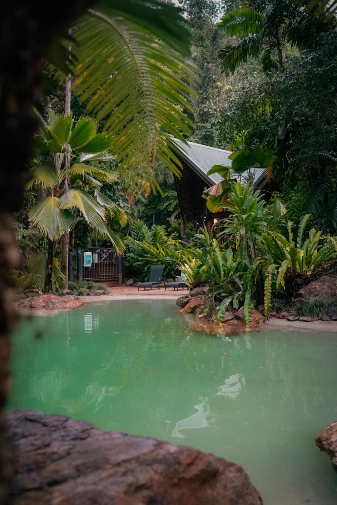 Ferntree Rainforest Lodge Cape Tribulation Exterior foto