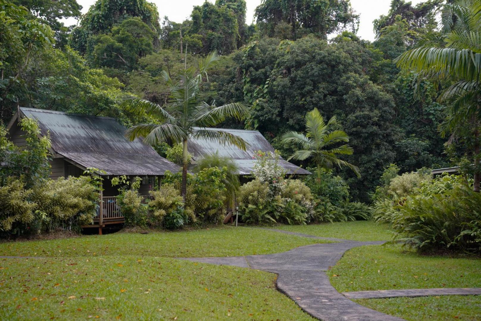 Ferntree Rainforest Lodge Cape Tribulation Exterior foto