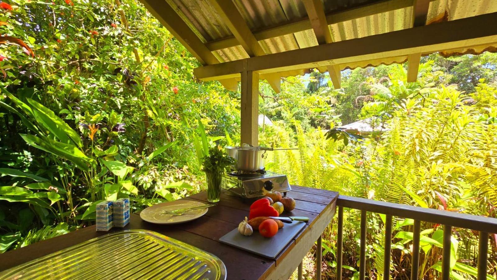 Ferntree Rainforest Lodge Cape Tribulation Exterior foto