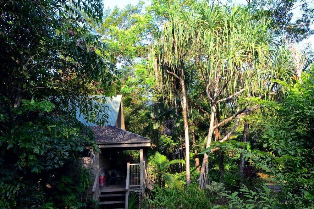 Ferntree Rainforest Lodge Cape Tribulation Exterior foto